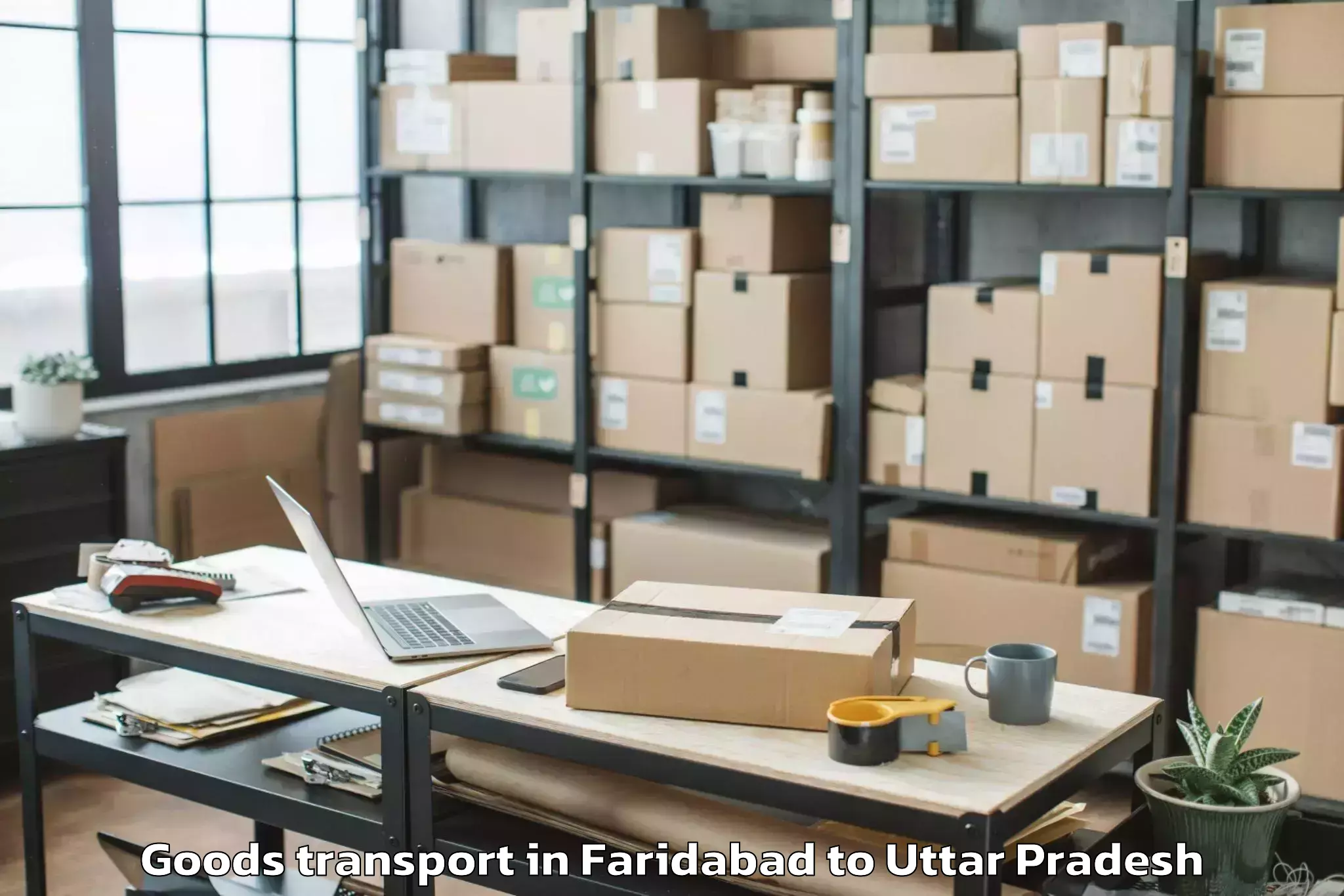 Quality Faridabad to Bundelkhand University Jhansi Goods Transport